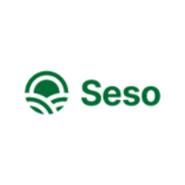 Seso